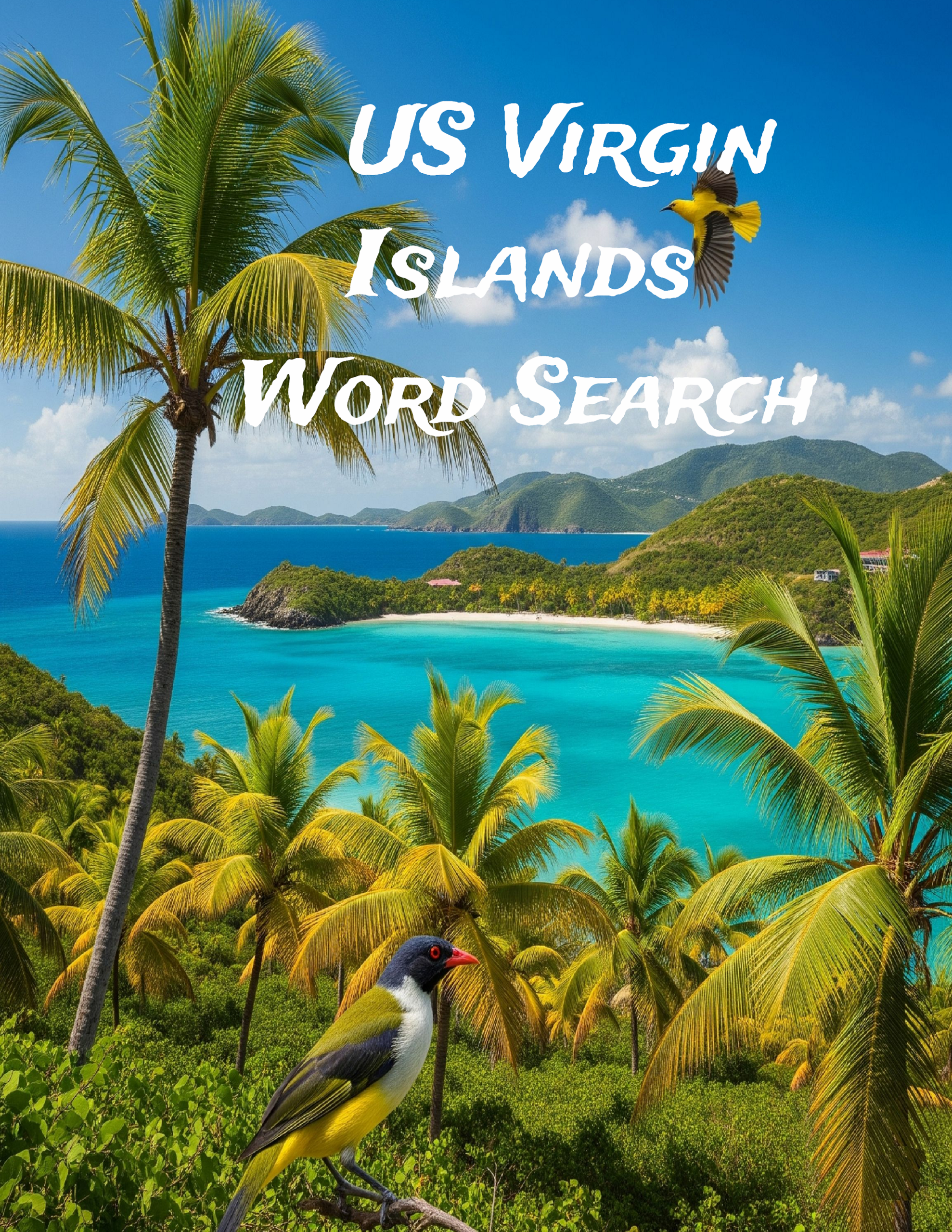 U.S. Virgin Islands Word Search Cover